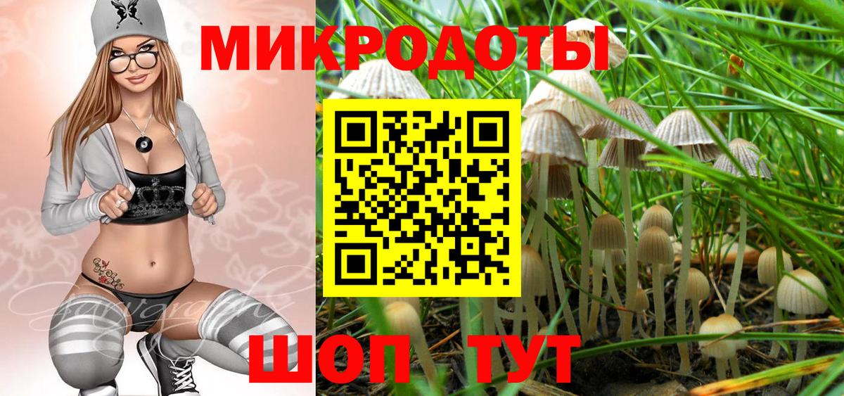Галлюциногенные грибы прущие грибы Тобольск