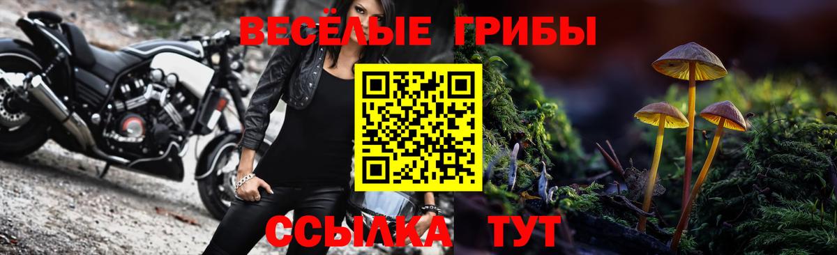 Тобольск  Галлюциногенные грибы мицелий  Вход с VPN 